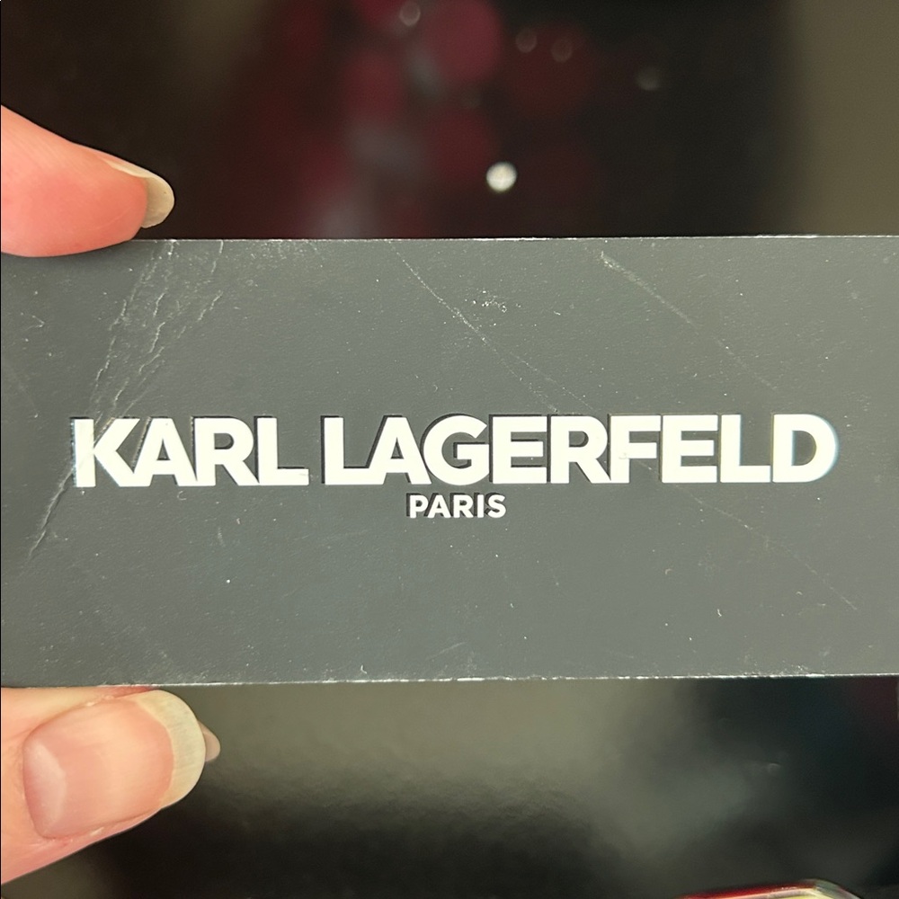 KARL LAGERFELD PARIS Maybelle Crossbody NWT - Picture 3 of 17